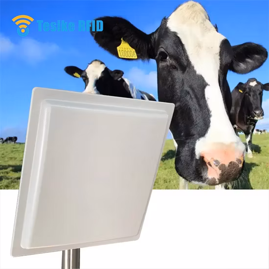 UHF Tag Long Range RFID Reader with Sdk